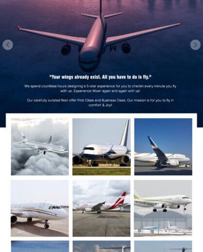 Flight-Business-Site-Design-ESS