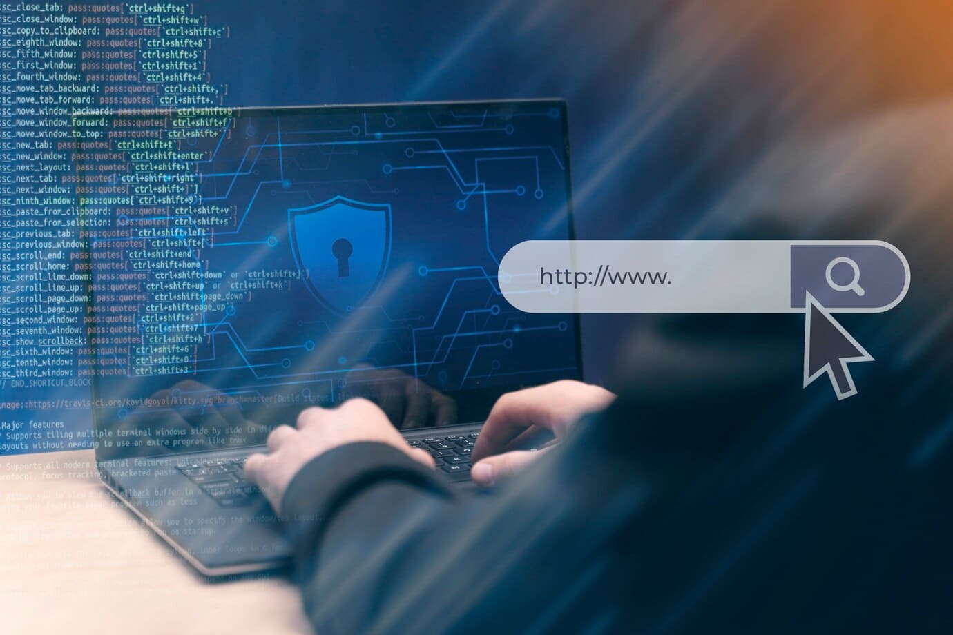 Web Application VAPT